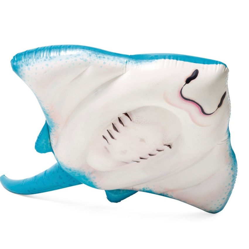Flotador raya para piscina | INTEX