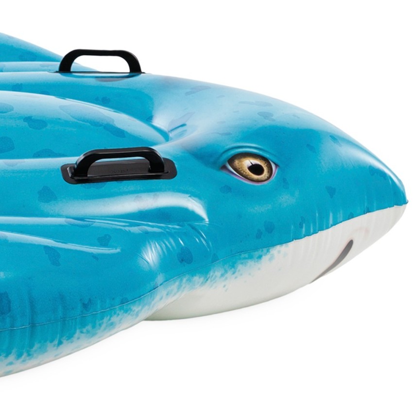 Flotador raya para piscina | INTEX